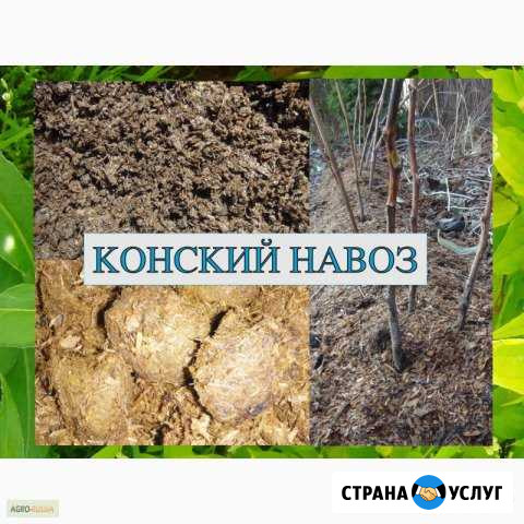 Лошединый навоз Калуга - изображение 1