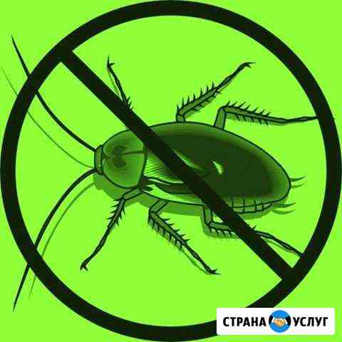 Уничтожение тараканов и клопов за 1 раз Волгоград