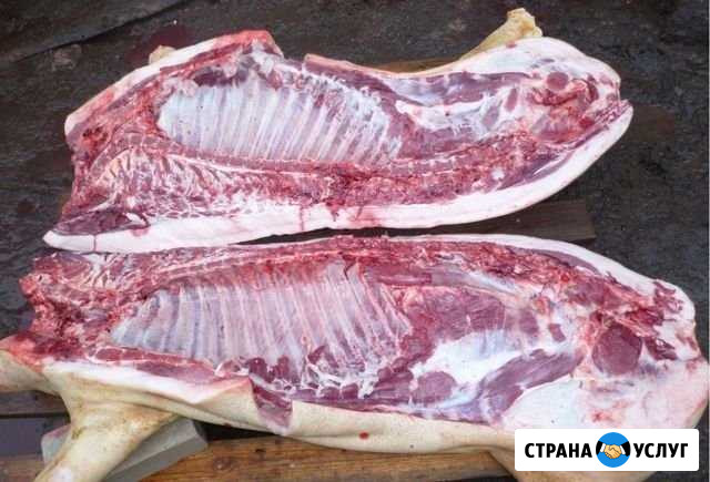 Продажа мясо Энгельс - изображение 1