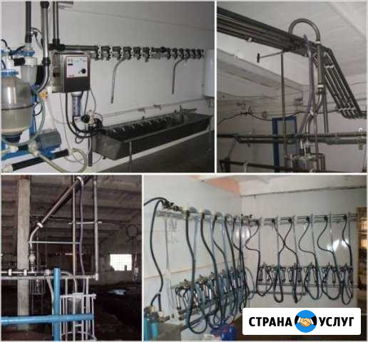Ремонт доильных установок и танков охладителей Новая Усмань - изображение 1