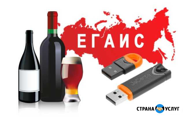 Егаис, алкодекларация Тайшет - изображение 1