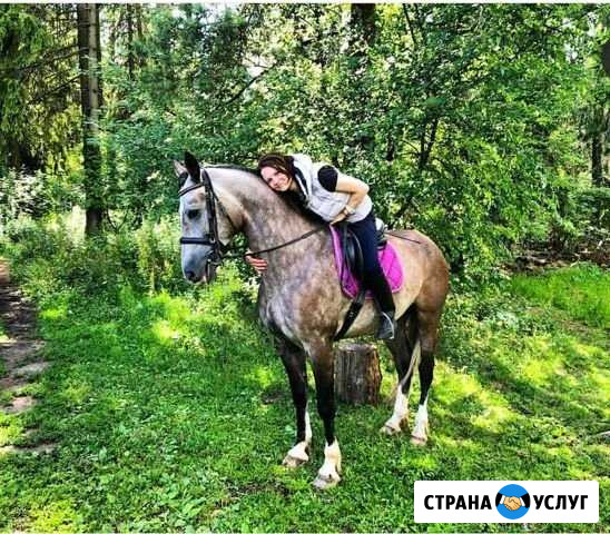 Конные прогулки, обучение верховой езде Андреевка - изображение 1