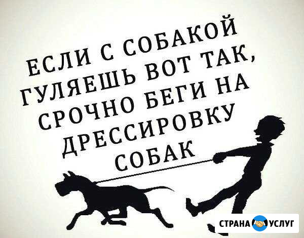 Профессиональная дрессировка собак Ставрополь - изображение 1