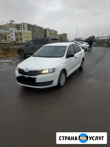 Аренда авто с выкупом Шкода Рапид и Шевроле Круз Санкт-Петербург - изображение 1