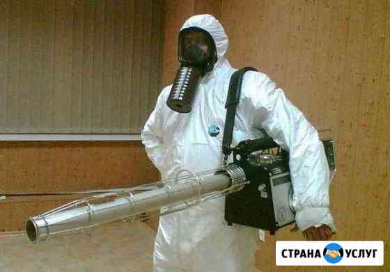 Уничтожение вредных насекомых и грызунов Саратов Энгельс