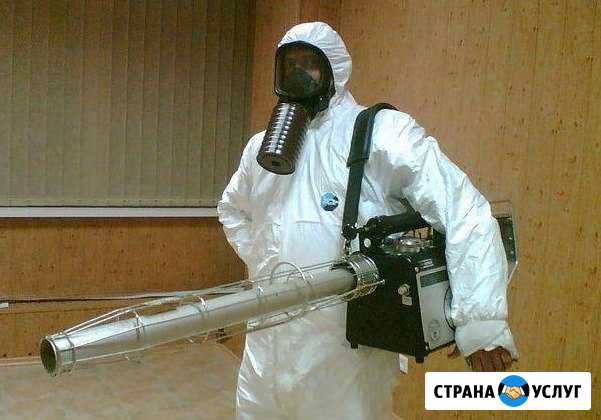 Уничтожение вредных насекомых и грызунов Саратов Энгельс - изображение 1