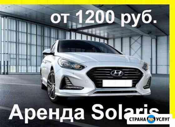 Аренда такси новый Solaris АКПП Санкт-Петербург