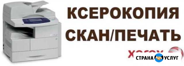 Ксерокопия, распечатка, сканирование, набор текста Шахты - изображение 1