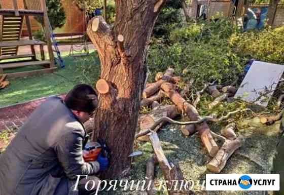 Спил деревьев Горячий Ключ