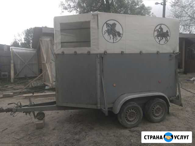 Перевозки крс,Лошадей и тд Волоколамск - изображение 1