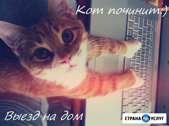 Частный компьютерный мастер с выездом на дом Котельники - изображение 1