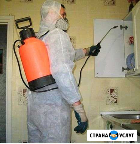 Дезинфекция Кемерово - изображение 1