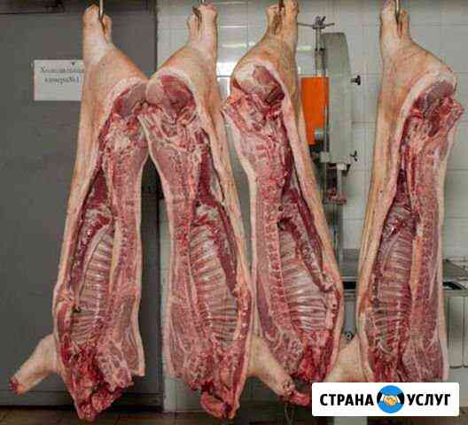 Мясо оптом С бесплатной доставкой москва (М.О) Мытищи