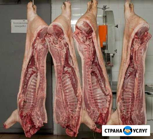 Мясо оптом С бесплатной доставкой москва (М.О) Мытищи - изображение 1