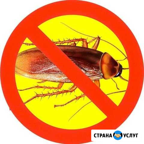 Обработка от насекомых и грызунов Ялта - изображение 1