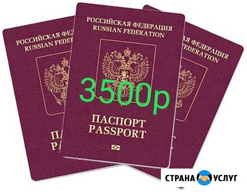 Загранпаспорт/Справка о судимости/ и Другие услуги Грозный - изображение 1