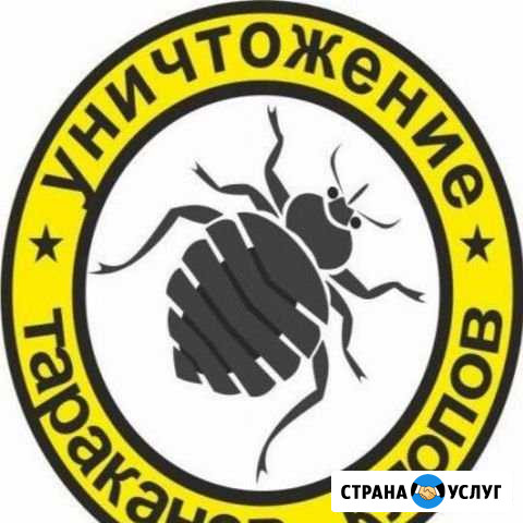 Дезслужба Зеленоград - изображение 1