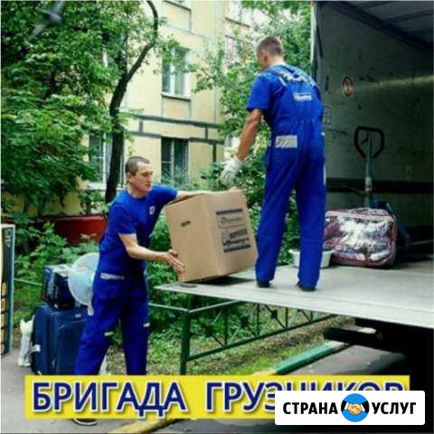 Грузчики - бригада от 1 до 10 грузчиков Кисловодск - изображение 1