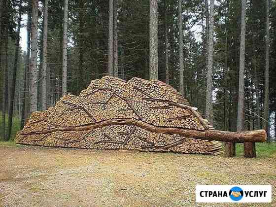 Дрова Сочи