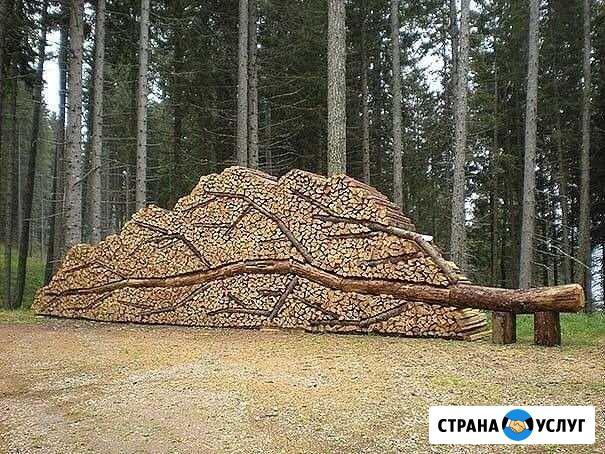 Дрова Сочи - изображение 1