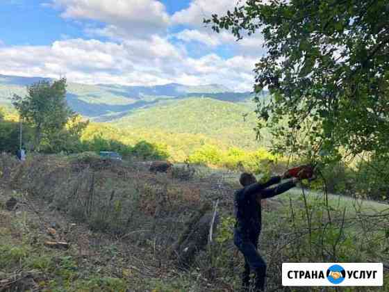 Расчистка участков Сочи