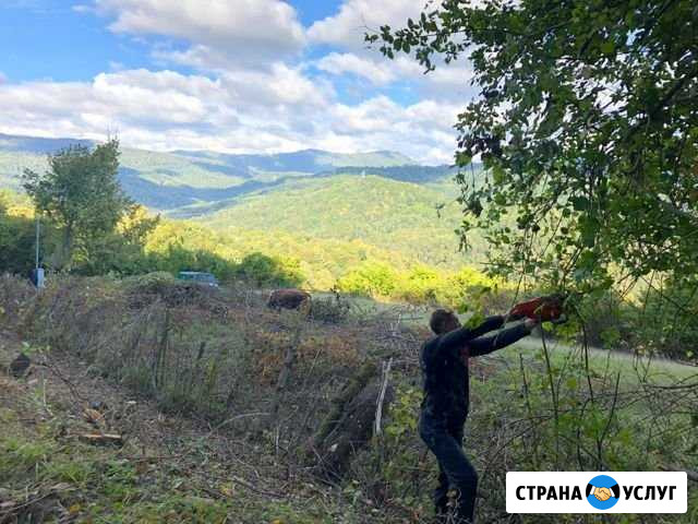 Расчистка участков Сочи - изображение 1