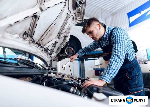 Чайка авто сервис Курган - изображение 1