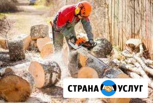 Дрова Слободской - изображение 1