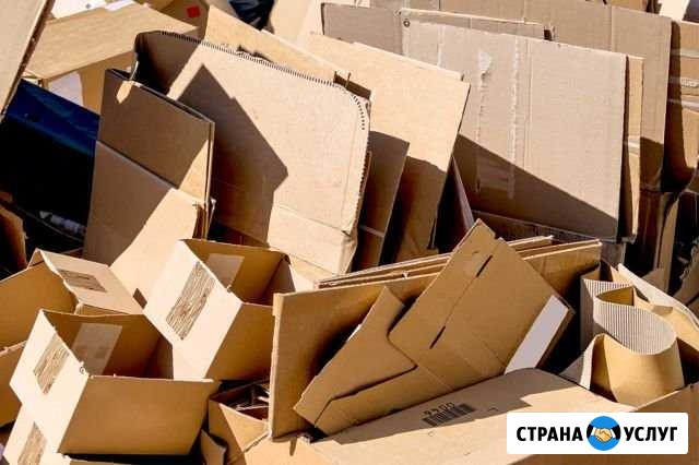 Прием картона, сдать картон,вывоз картона от 200кг Санкт-Петербург - изображение 1
