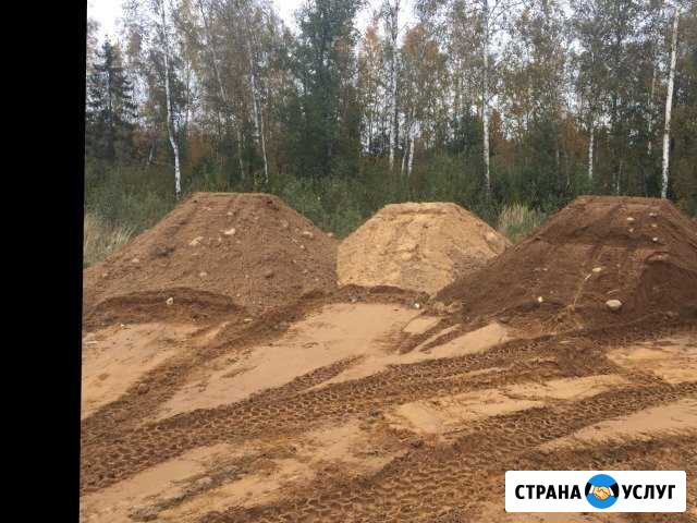 Отсыпка участка Сосновый Бор - изображение 1