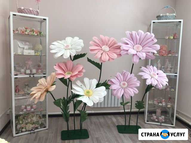 Аренда фотозоны «Ромашки» Анжеро-Судженск - изображение 1