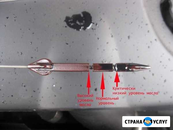 Замена масла в АКПП nissan X-trail 2002-2016 Нижневартовск - изображение 1