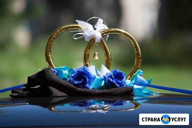 Фотосъёмка или видеосъёмка свадеб, юбилеев и др Саранск - изображение 1