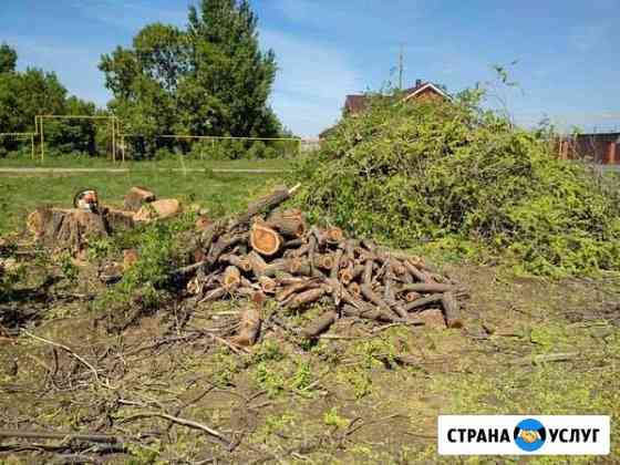 Спил деревьев,расчистка участков Сочи