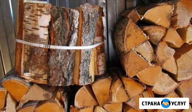 Дрова бюджетные(колотые) сухие/сетки/осина/береза Бугры - изображение 1