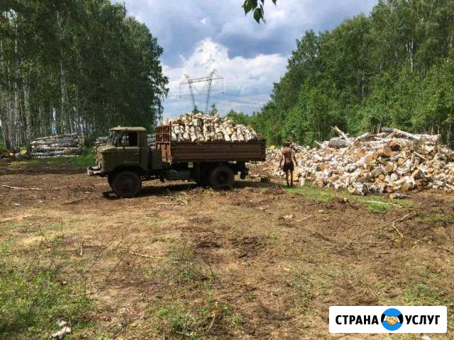 Дрова березовые колотые,чурками и стволами Чебаркуль - изображение 1