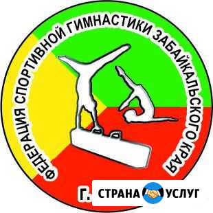 Набор детей на гимнастику (+офп, акроб-ка, прыжки Чита - изображение 1