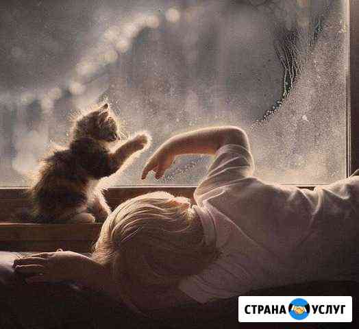 Ремонт, диагностика и установка окон Хабаровск