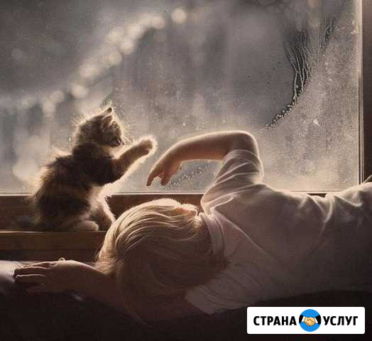 Ремонт, диагностика и установка окон Хабаровск - изображение 1