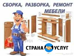 Сборка и разбор мебели.Демонтаж квартир Челябинск - изображение 1