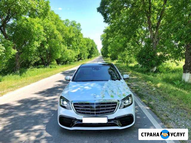 Элитные авто с водителем 221/222 Махачкала - изображение 1