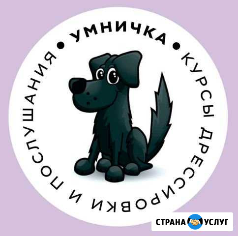 Дрессировка Собак, зоопсихолог Пермь - изображение 1