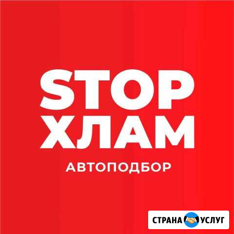 Автоподбор, автопоиск, выездная диагностика Таганрог - изображение 1