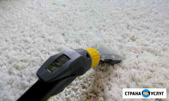 Karcher Puzzi 8/1(химчистка) на прокат Казань