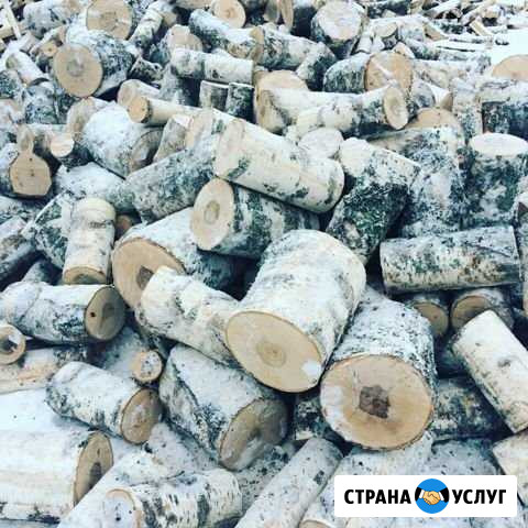 Дрова Йошкар-Ола - изображение 1