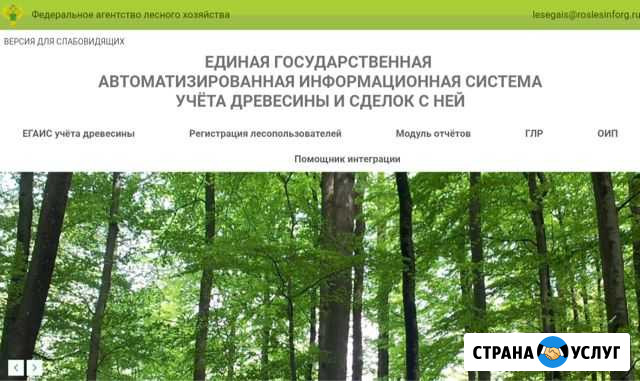 Предоставление услуг егаис Лес Кемерово - изображение 1