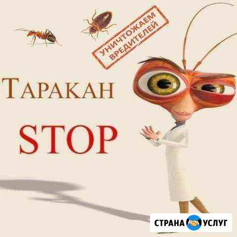 Уничтожение тараканов,клопов, муравьёв и грызунов Сургут