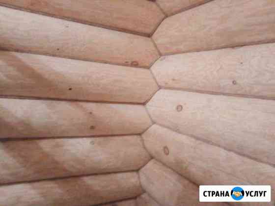 Канапатка шилпофка Кингисепп