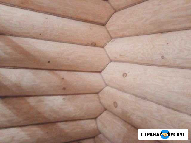 Канапатка шилпофка Кингисепп - изображение 1