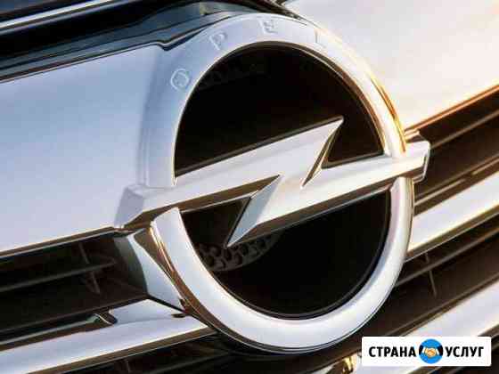 Диагностика opel Лысьва